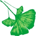 The Plantscapers Logo